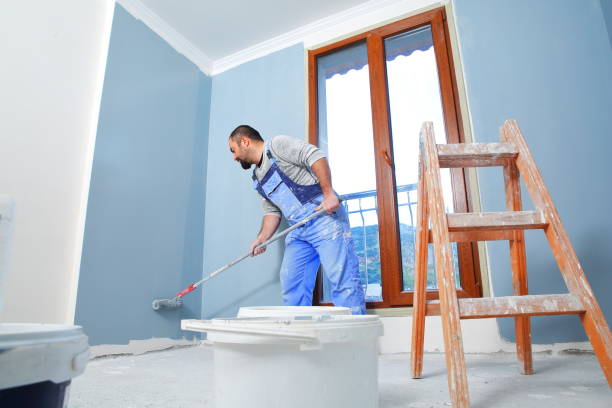 Best Forensic Mold Investigation  in Redlands, CO